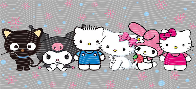 16oz Sanrio-K 11